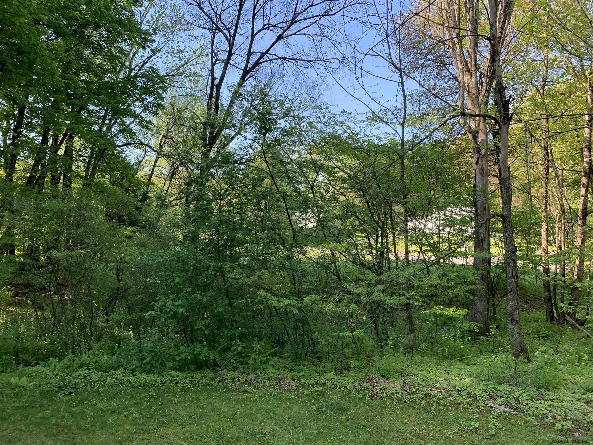 20 Greenfield Manor Road Greenfield, NY 12859 - Photo 29 of 41 Photo 29