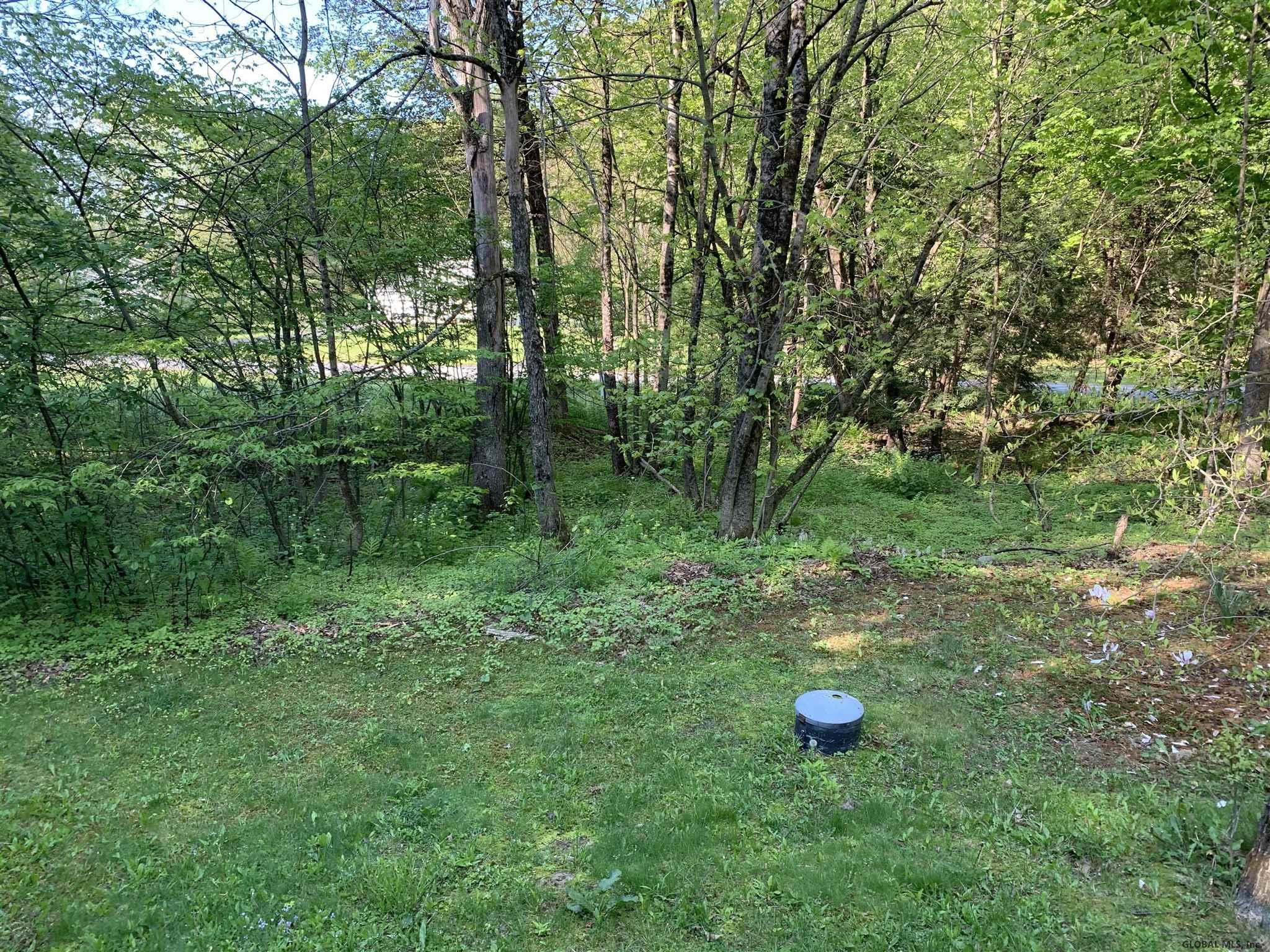 20 Greenfield Manor Road Greenfield, NY 12859 - Photo 31 of 41 Photo 31