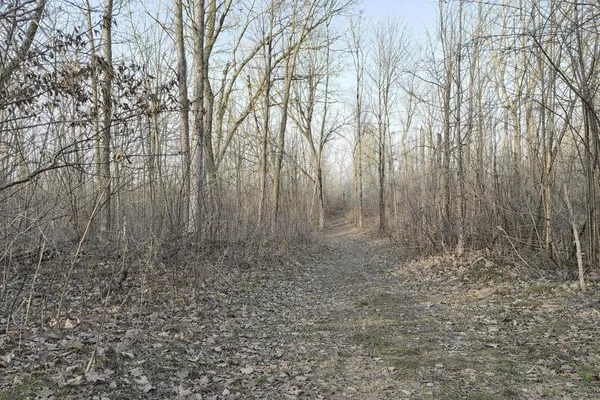 $88,550 | Lot 1 1/2, Barron, WI 54812