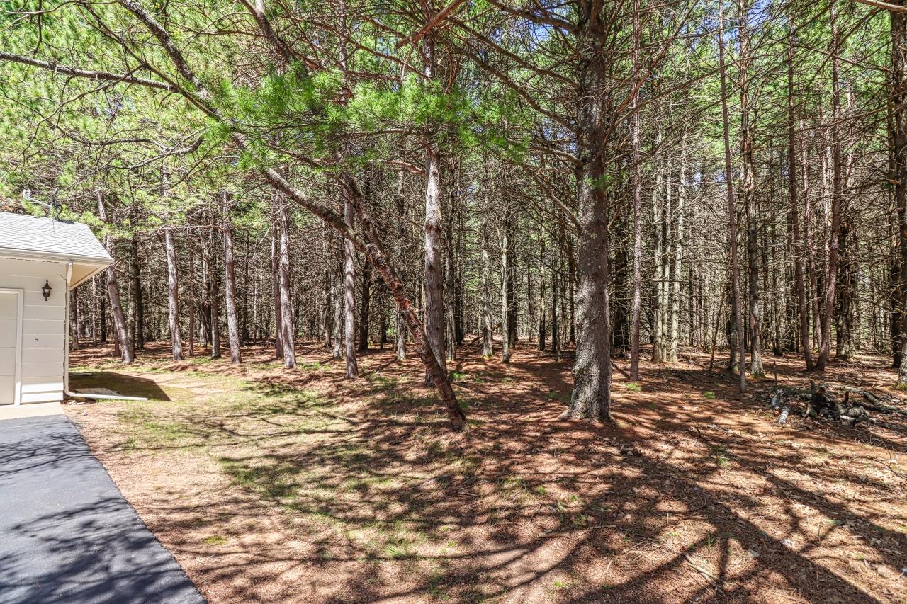 7519 Island View Road Three Lakes, WI 54562 - Photo 22 of 23 Gallery Image 22