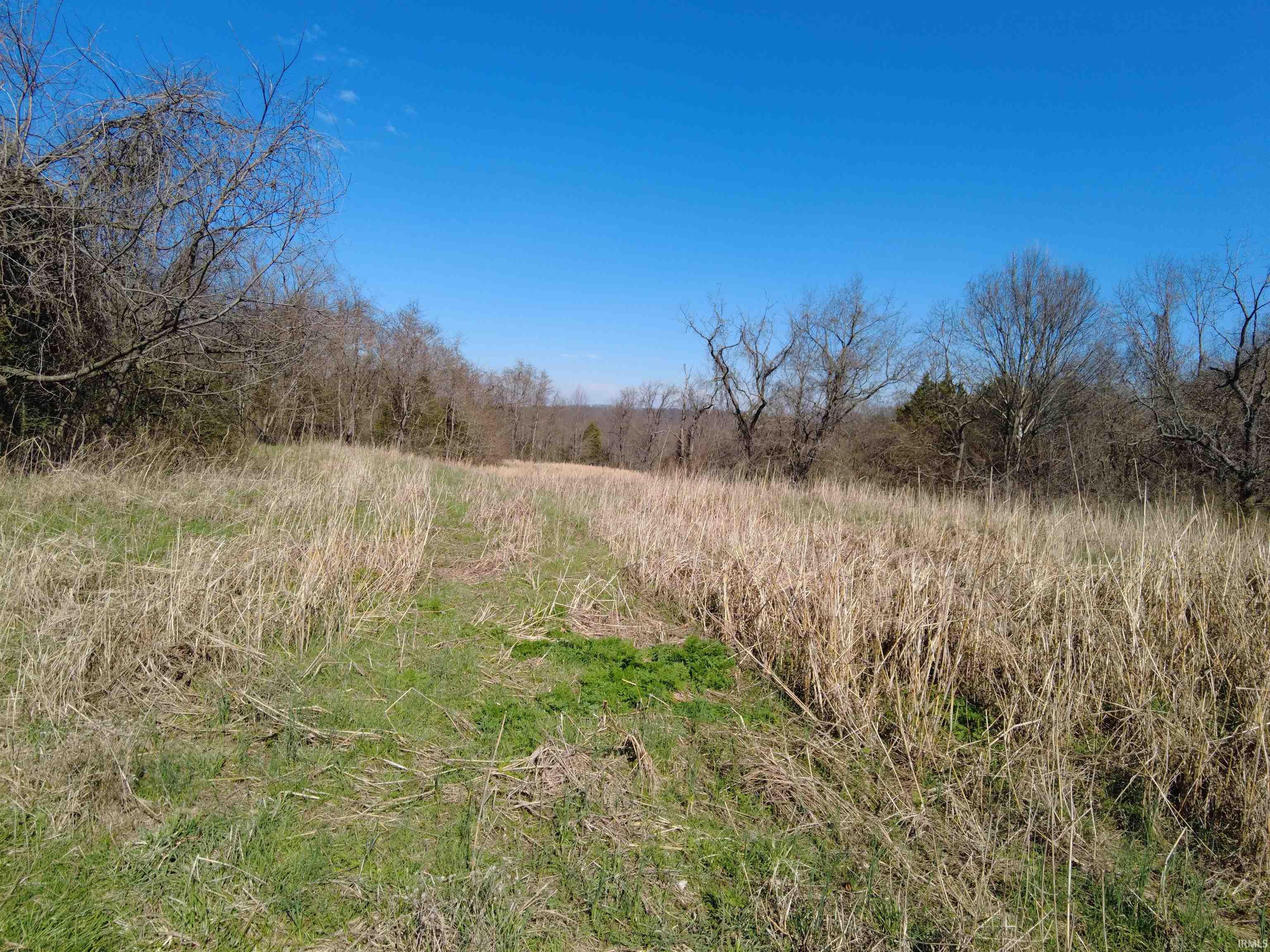 1733 Stumphole Bridge Road Williams, IN 47470 - Photo 2 of 20