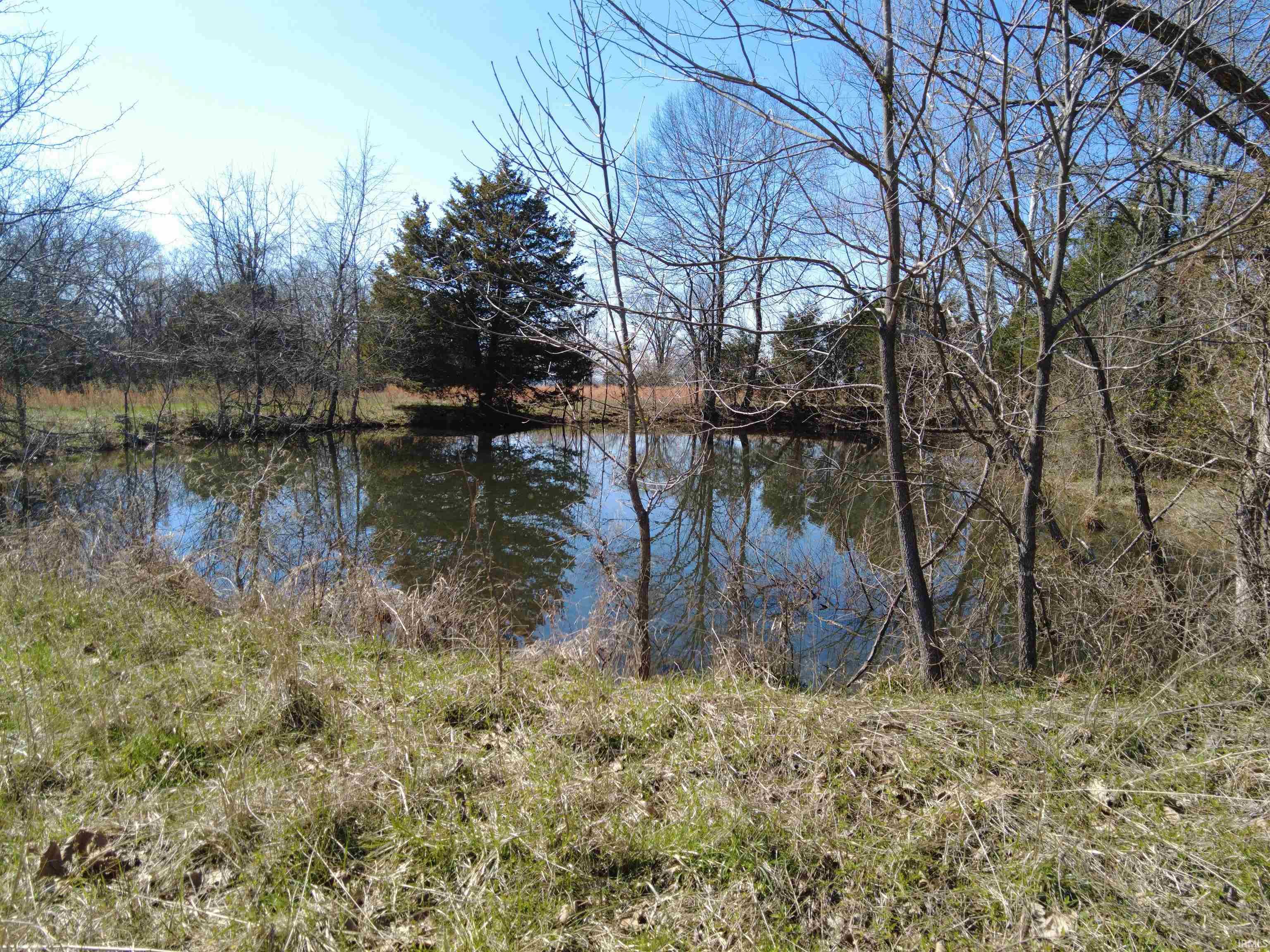 1733 Stumphole Bridge Road Williams, IN 47470 - Photo 3 of 20