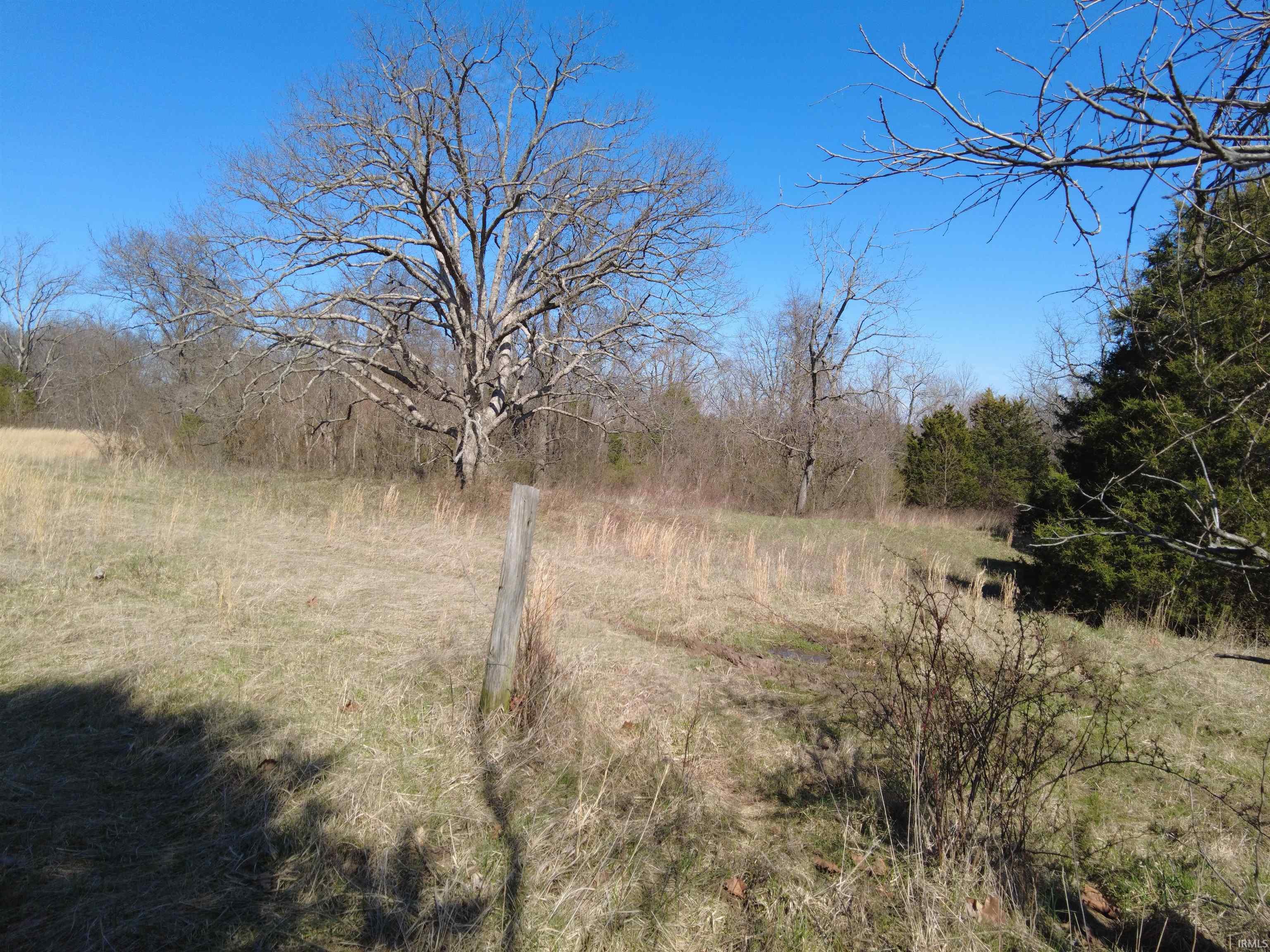 1733 Stumphole Bridge Road Williams, IN 47470 - Photo 5 of 20