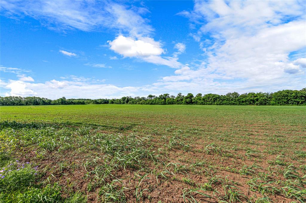 Tbd Bogey Lane Waco, TX 76708 - Photo 33 of 36