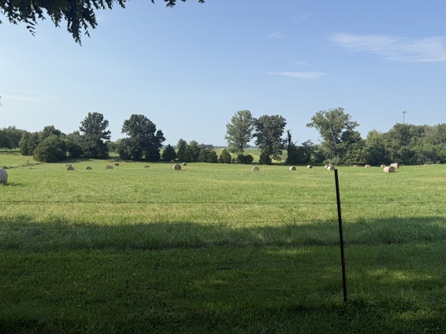 14732 Remington Road Marion, IL 62959 - Photo 28 of 31 Gallery Image 28