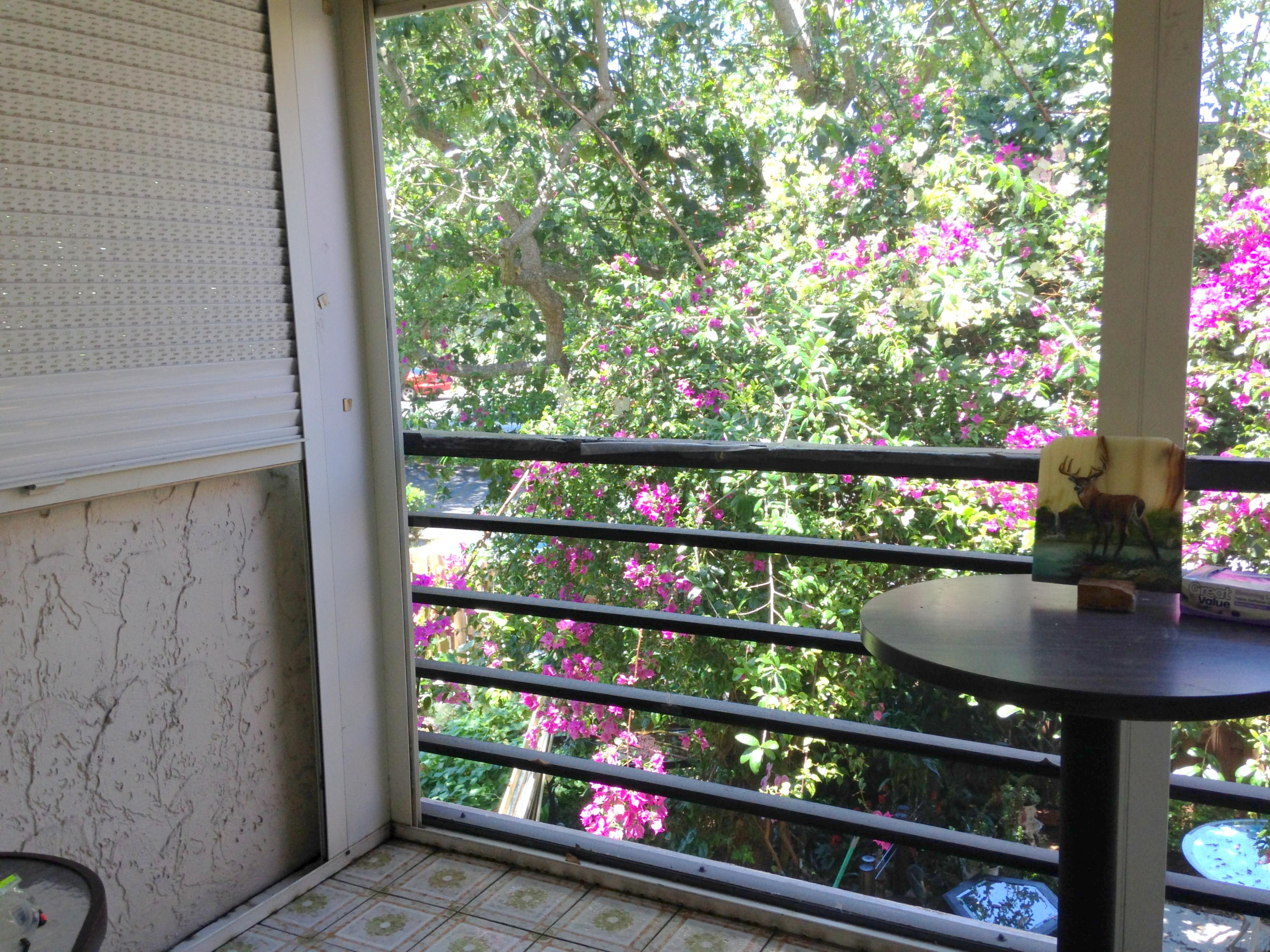 1074 Northwest 13th Street, Unit 271C Boca Raton, FL 33486 - Photo 28 of 43 Lanai