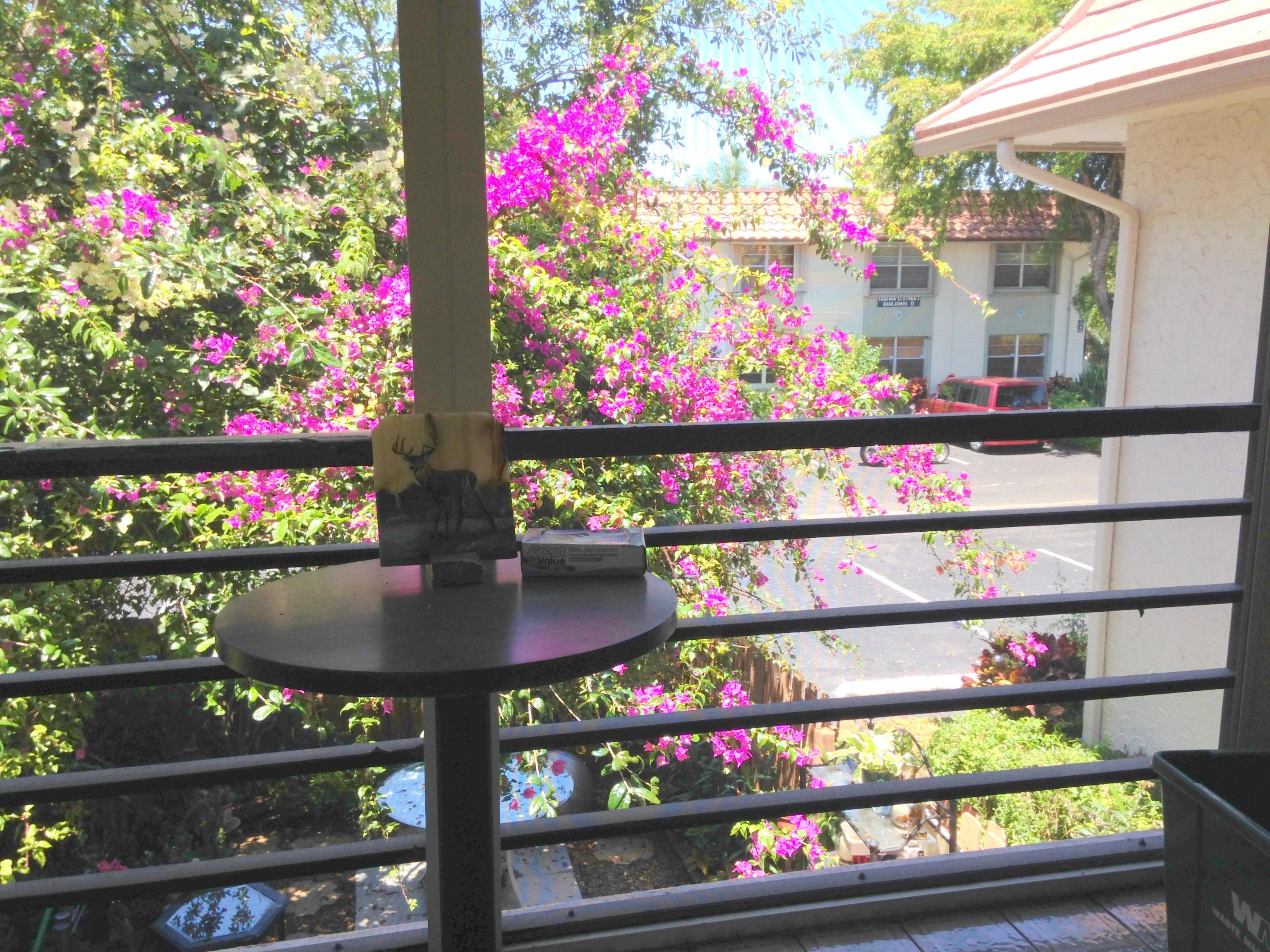 1074 Northwest 13th Street, Unit 271C Boca Raton, FL 33486 - Photo 29 of 43 Lanai1