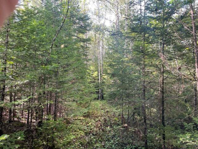 1 Hussey Road Canaan, ME 04924 - Photo 5 of 5 IMG_8060