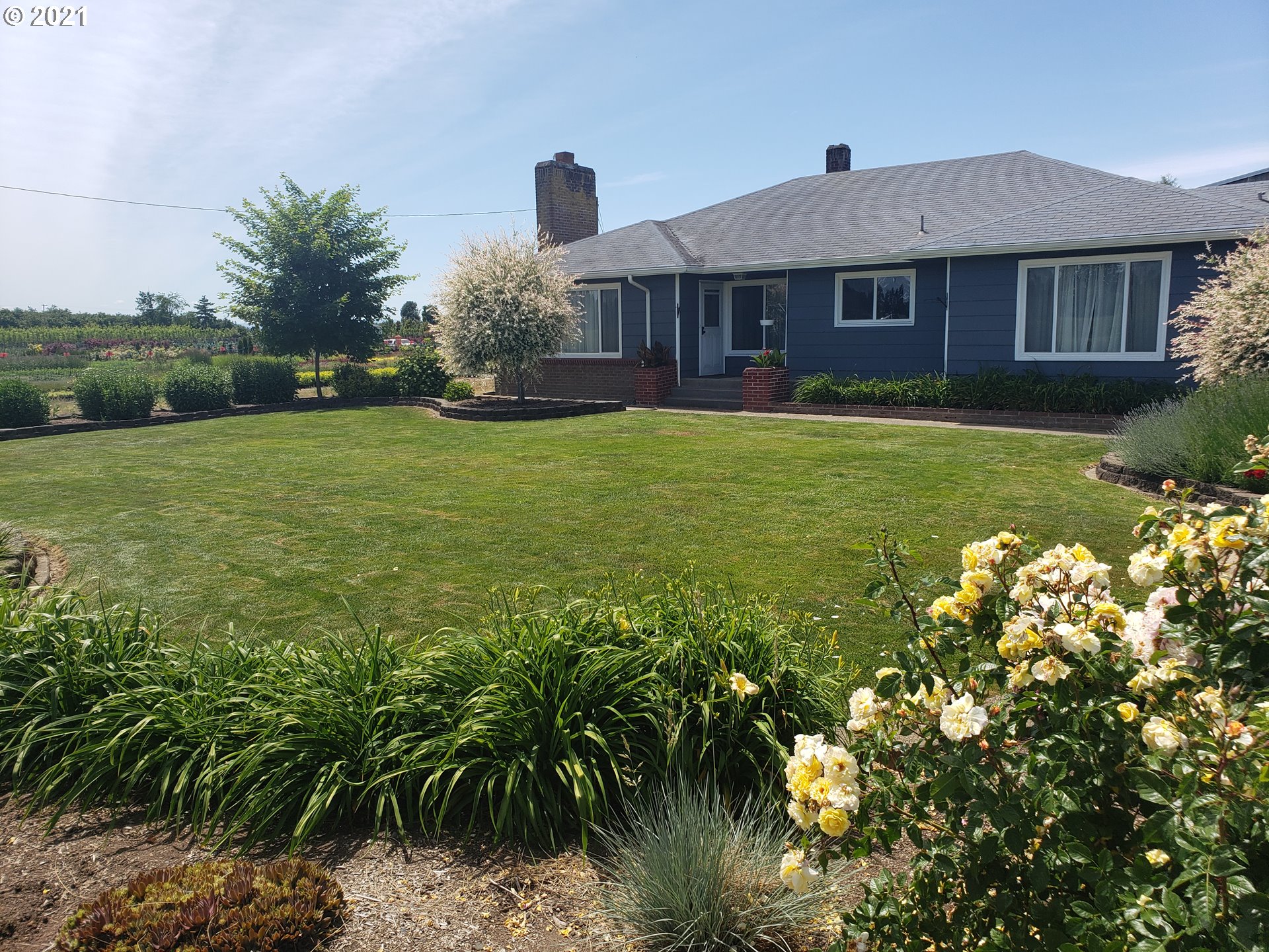 21451 River Road Northeast St. Paul, OR 97137 - Photo 1 of 32 a front view of a house with garden