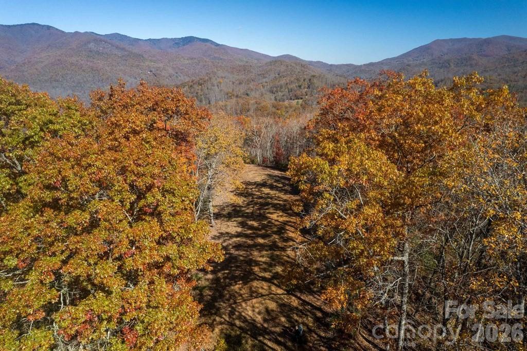 700 Copperhead Cove Road Sylva, NC 28779 - Photo 14 of 23