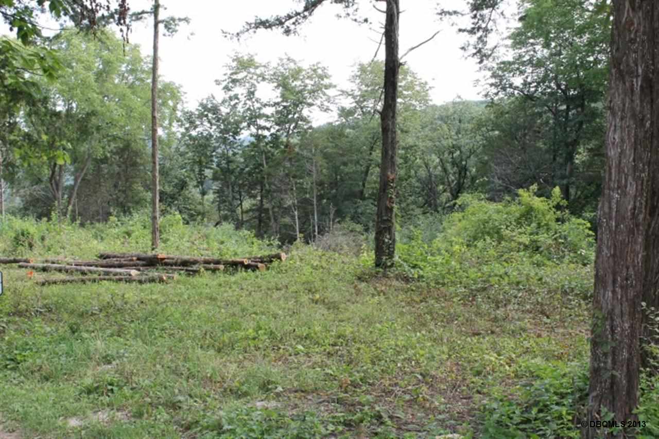 Lot 7 Shannon Ridge Dubuque, IA 52002 - Photo 3 of 8 Gallery Image 3
