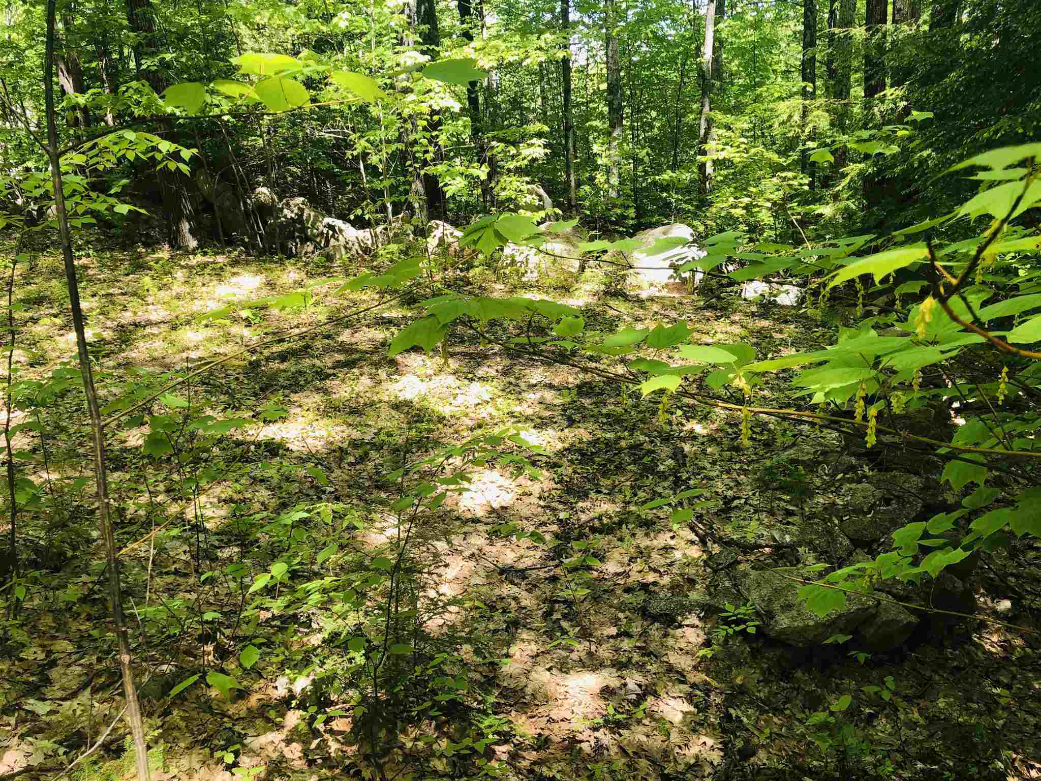 Lot 93 Hook Road Gilford, NH 03249 - Photo 14 of 18
