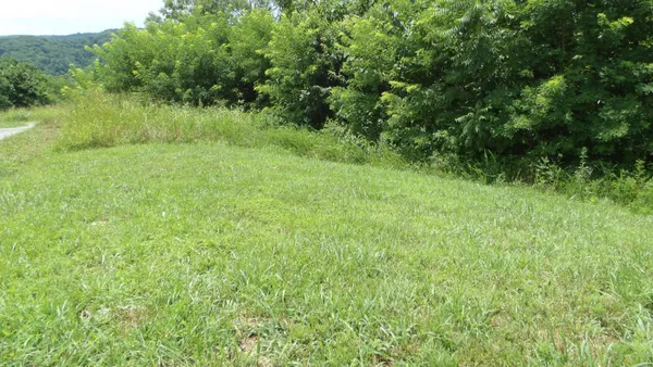 a big yard with lots of green space and deers