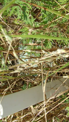 a view of swimming pool
