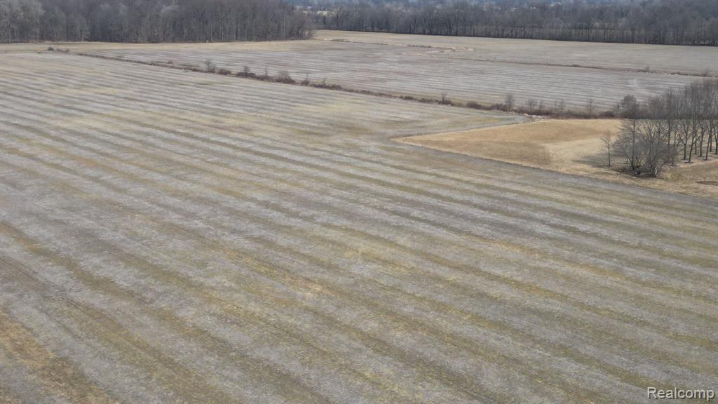 11 Kunstman Road Ray, MI 48096 - Photo 13 of 19