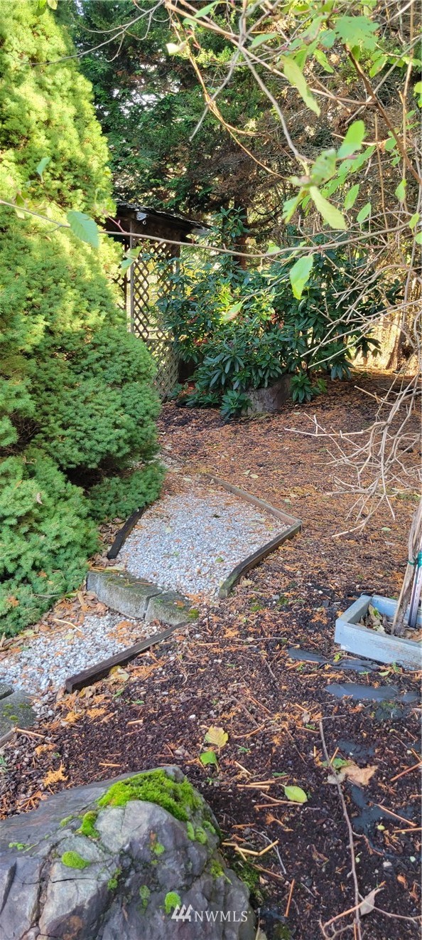 729 236th Place Southwest Bothell, WA 98021 - Photo 11 of 40 a backyard of a house with lots of green space
