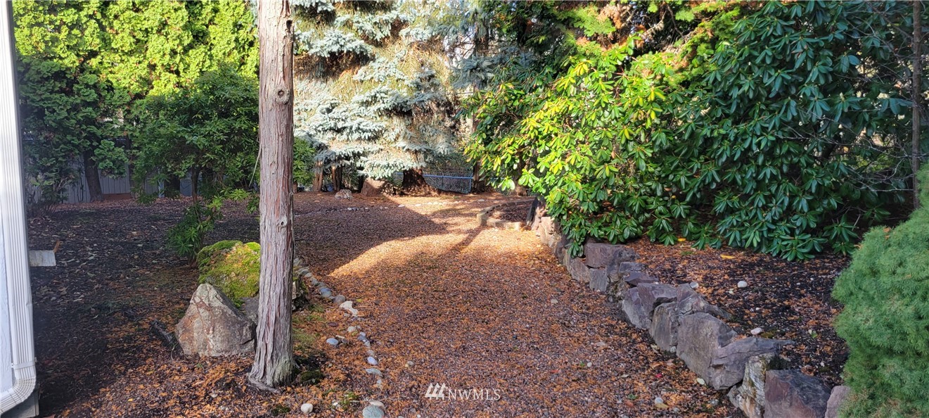 729 236th Place Southwest Bothell, WA 98021 - Photo 12 of 40 a view of a yard with plants