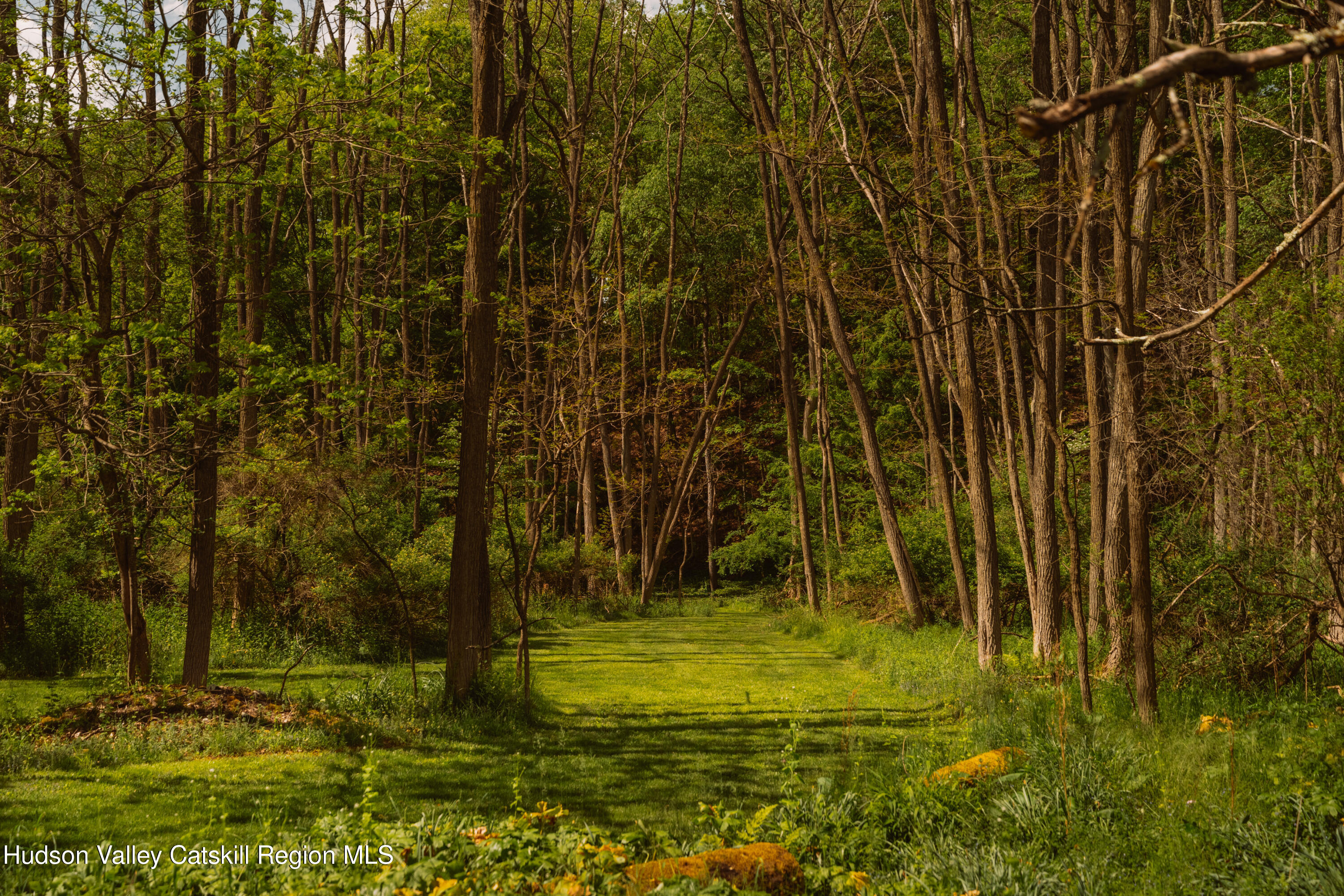 847 Cooks Falls Road Roscoe, NY 12776 - Photo 32 of 35 017