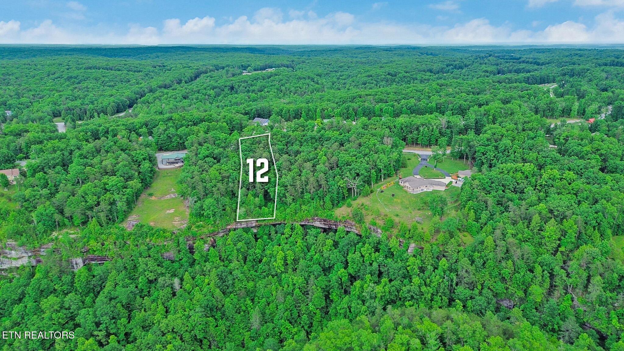 Eagle Bluff Jamestown, TN 38556 - Photo 1 of 37 12