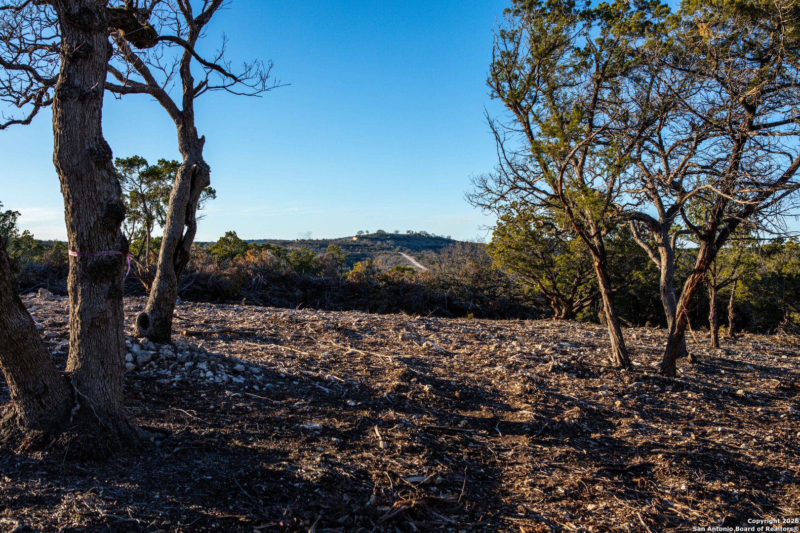 474 Zapata Ridge Medina, TX 78055 - Photo 11 of 35 a view of a yard