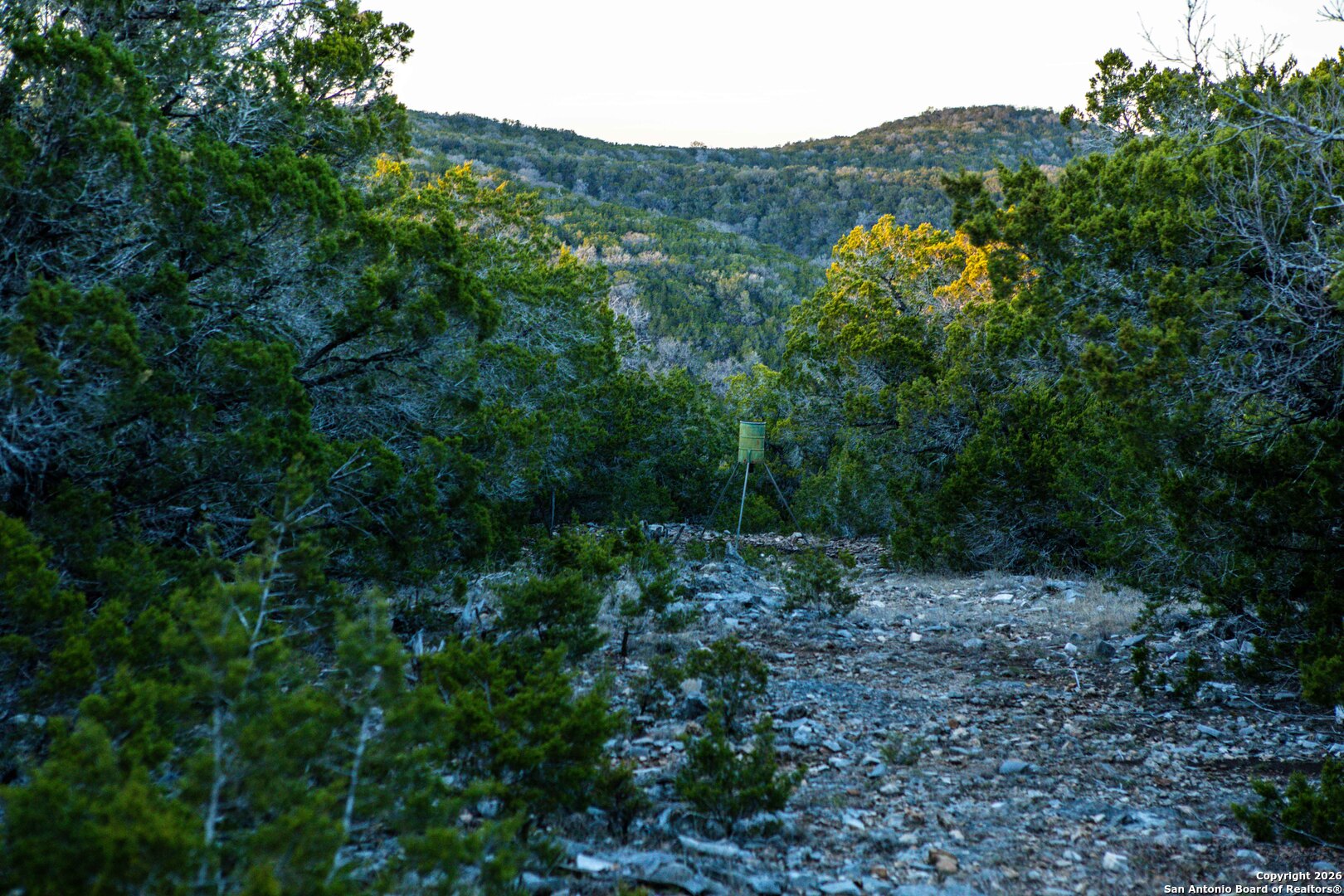 474 Zapata Ridge Medina, TX 78055 - Photo 18 of 35 a view of a lush green forest with trees in the background