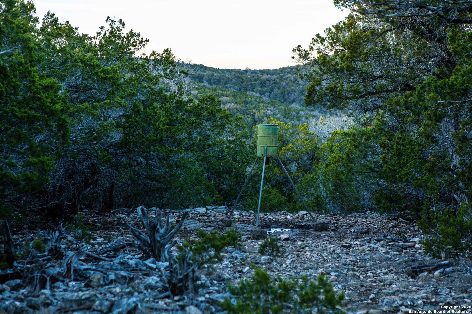 474 Zapata Ridge Medina, TX 78055 - Photo 19 of 35 a view of a forest with a tree