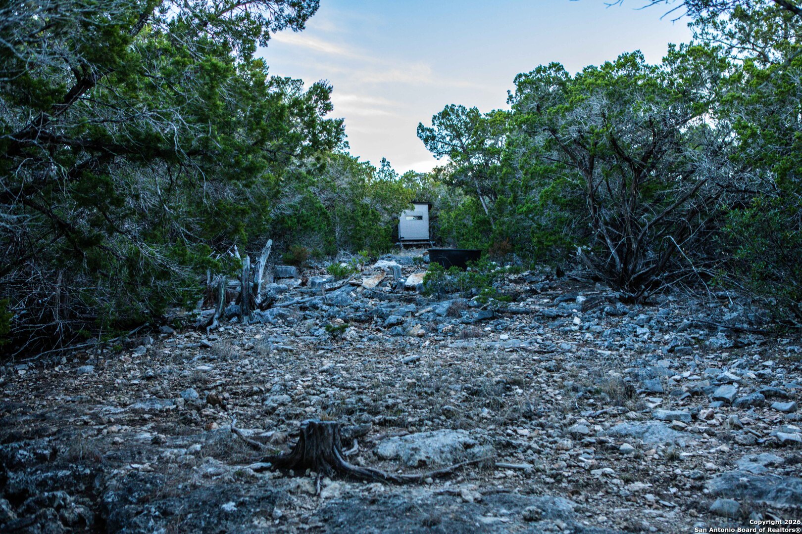 474 Zapata Ridge Medina, TX 78055 - Photo 22 of 35 a view of a yard with plants and trees