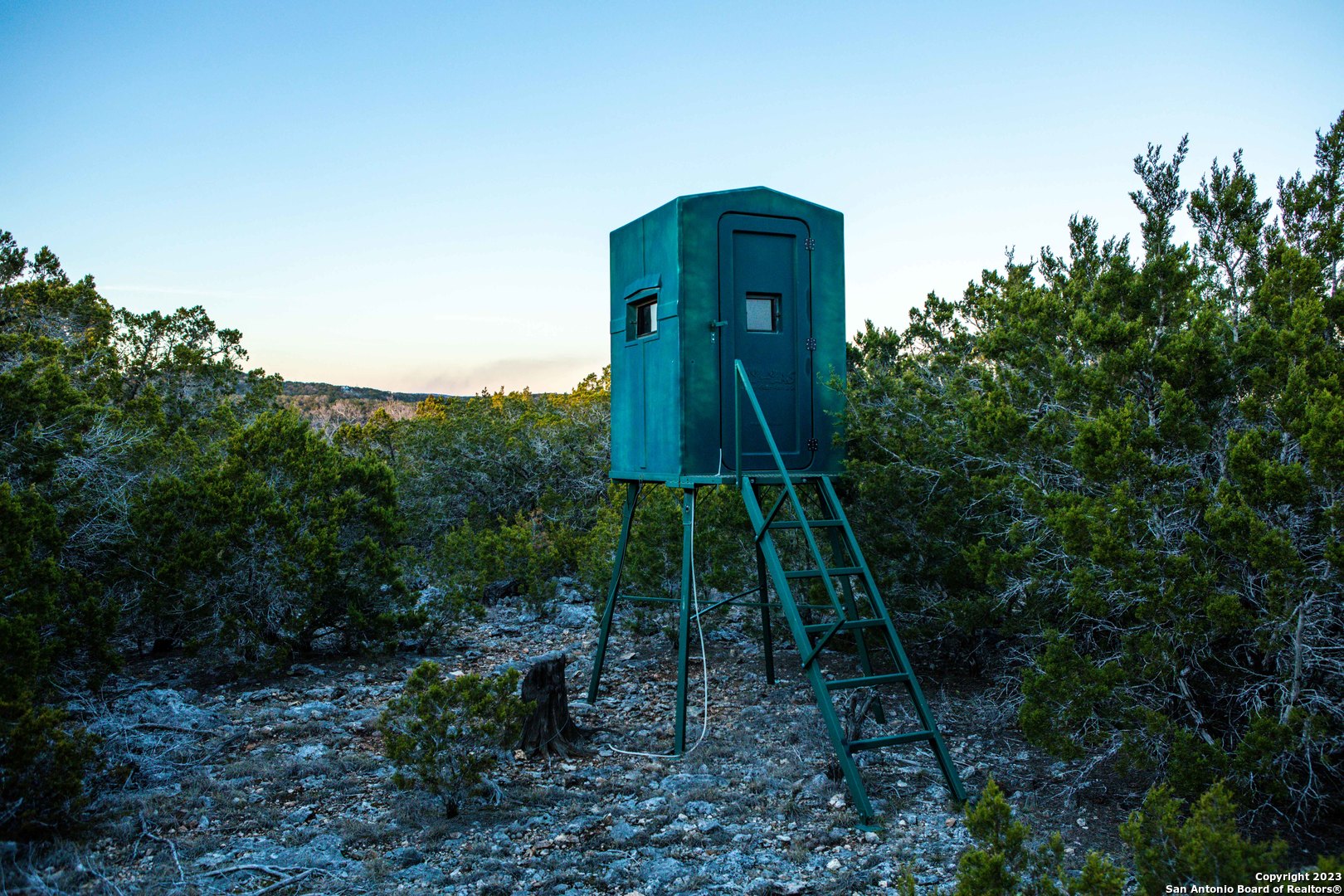 474 Zapata Ridge Medina, TX 78055 - Photo 3 of 34 a backyard of a house with lots of plants and space