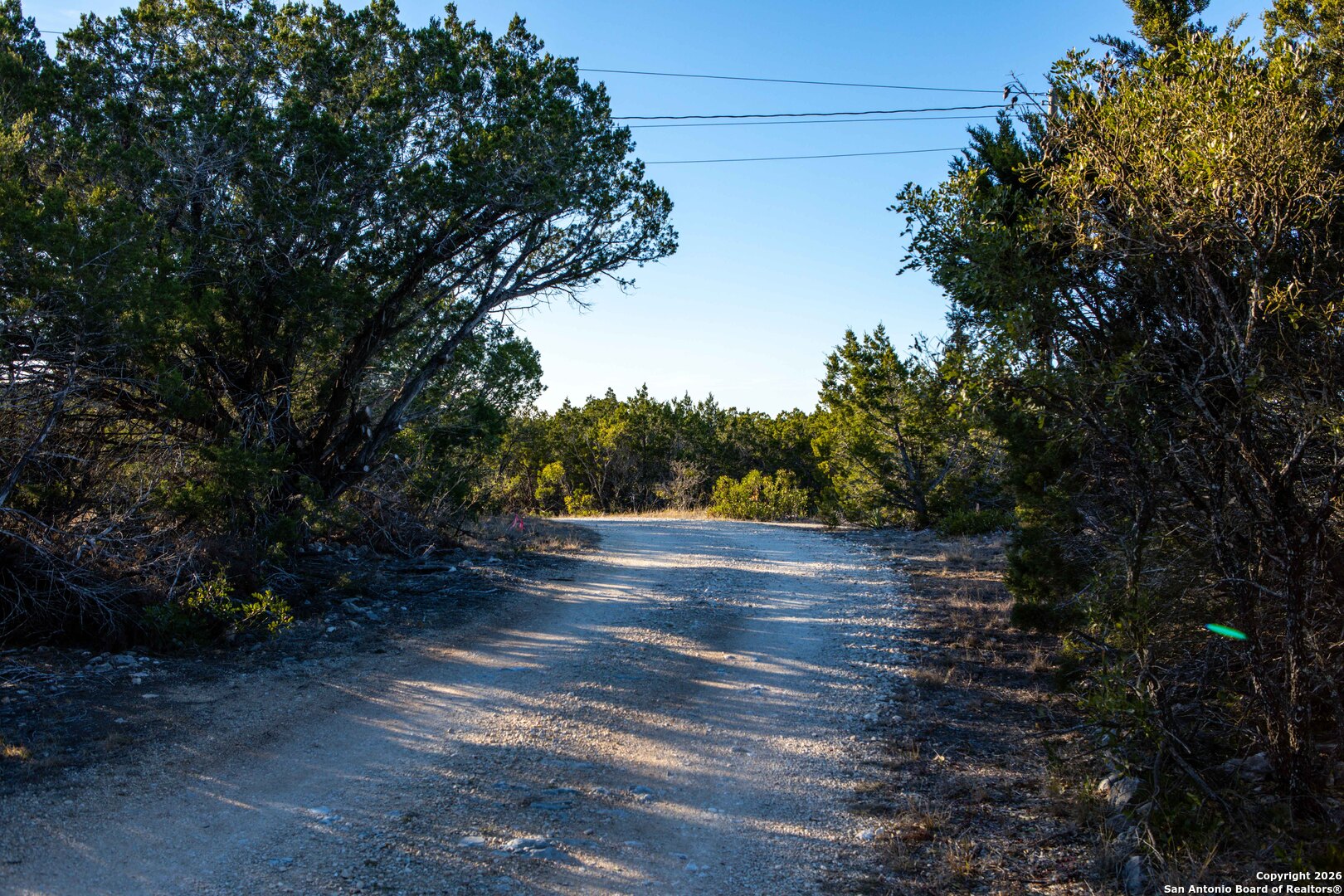 474 Zapata Ridge Medina, TX 78055 - Photo 7 of 35 a view of a yard with plants and trees