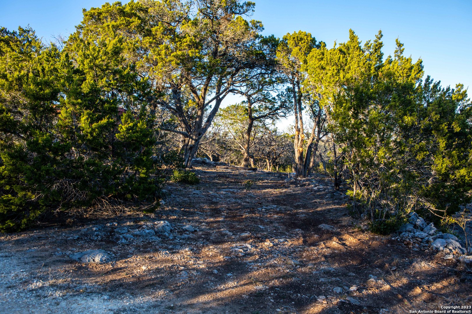 474 Zapata Ridge Medina, TX 78055 - Photo 7 of 34 a view of a yard with plants and trees