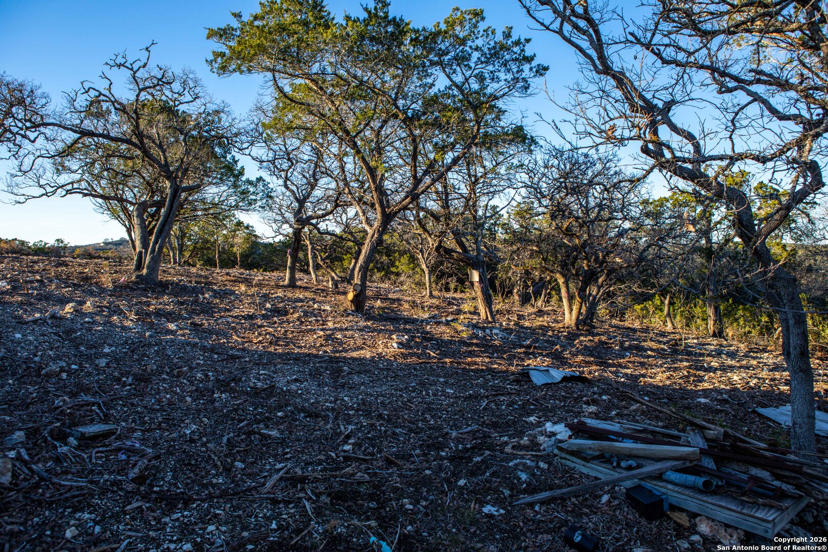 474 Zapata Ridge Medina, TX 78055 - Photo 10 of 35 a view of backyard with green space