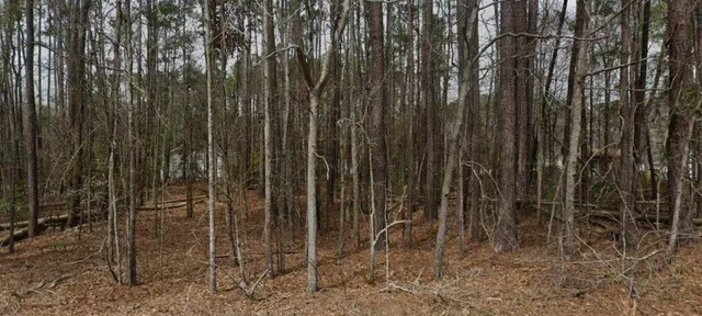 $28,000 | 968 Fawn Lane, Orangeburg, SC 29115