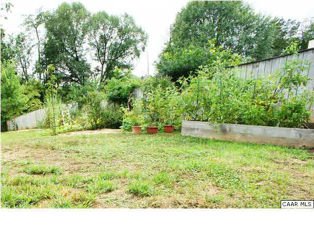 111 Rustling Oaks Way Ruckersville, VA 22968 - Photo 12 of 16 a backyard of a house with lots of green space