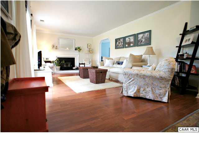 111 Rustling Oaks Way Ruckersville, VA 22968 - Photo 4 of 16 a living room with furniture and a fireplace
