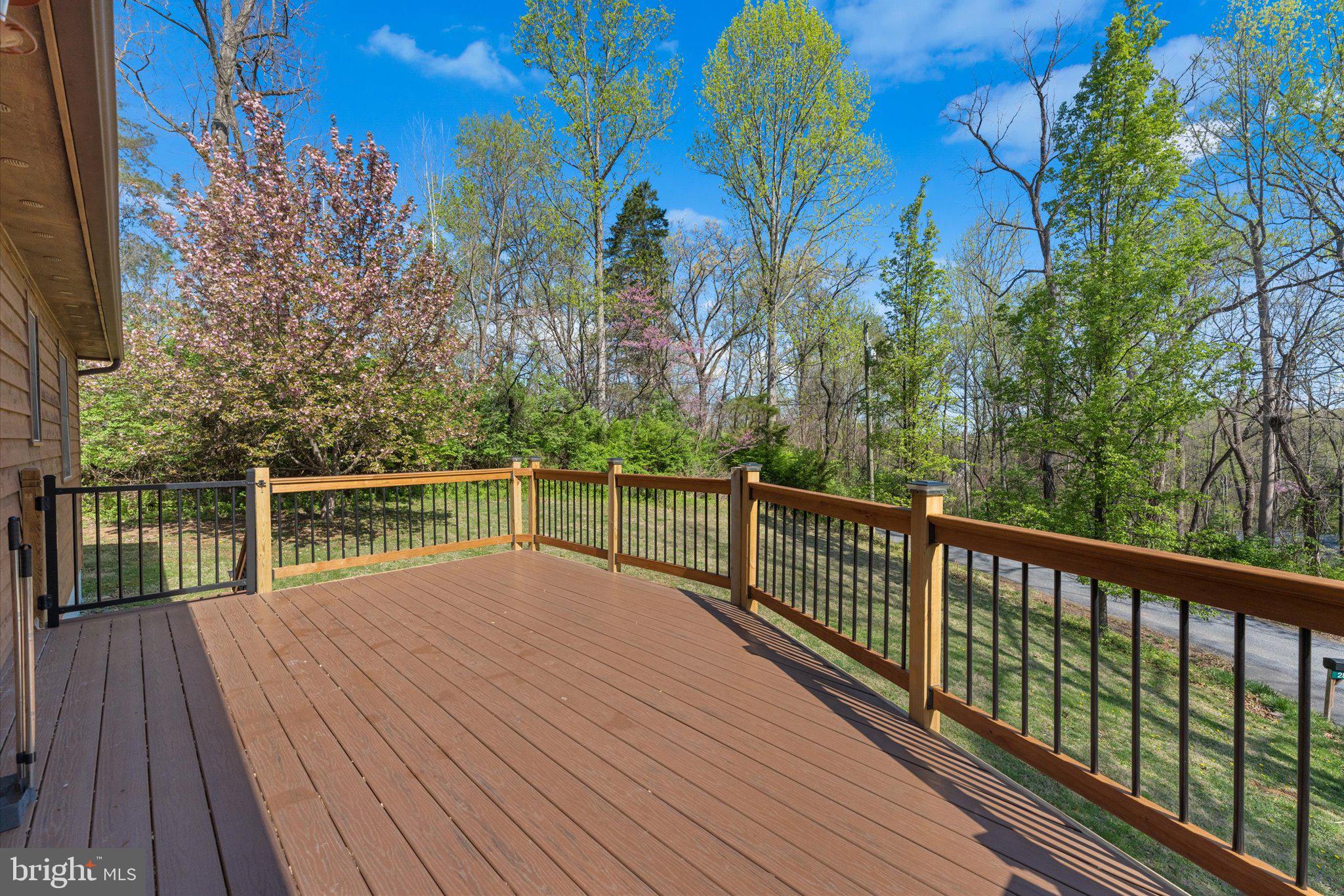 288 Locust Grove Road Front Royal, VA 22630 - Photo 25 of 42 Large Back Deck