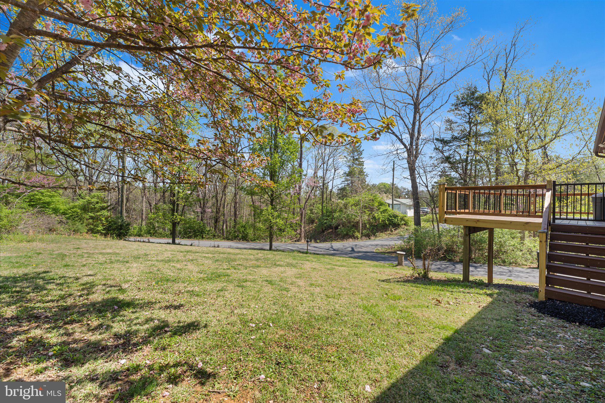 288 Locust Grove Road Front Royal, VA 22630 - Photo 36 of 42