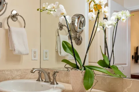 a bathroom with a sink a mirror and shower
