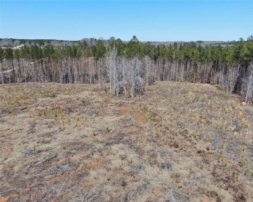 0 Elledge Road Ware Shoals, SC 29692 - Photo 4 of 39
