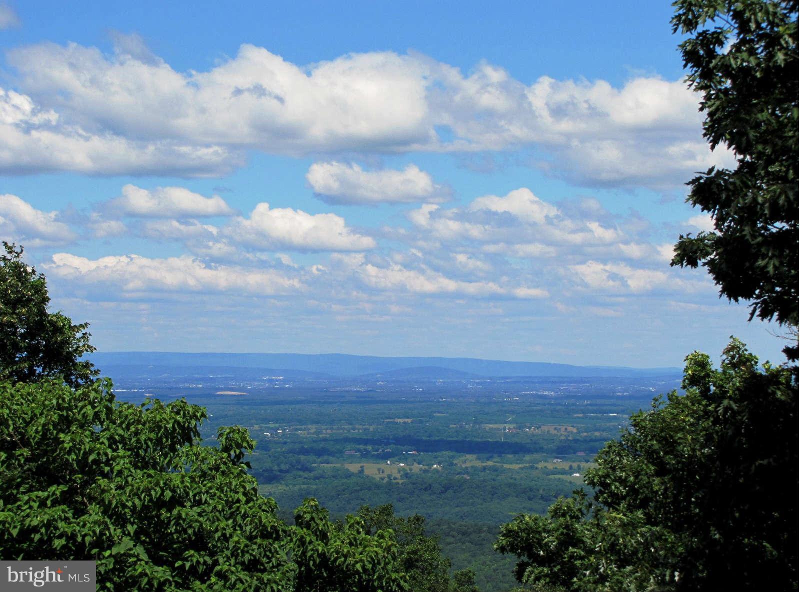 32580 Mt Weather Road Bluemont, VA 20135 - Photo 22 of 29 a view of a big yard with lots of green space