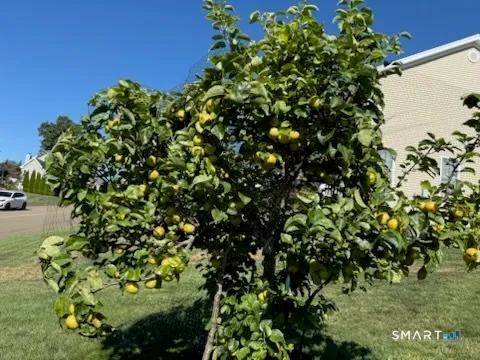 $679,900 | 12 Red Oak Lane, Seymour, CT 06483