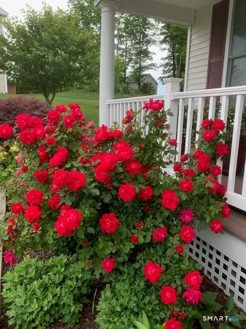 $679,900 | 12 Red Oak Lane, Seymour, CT 06483