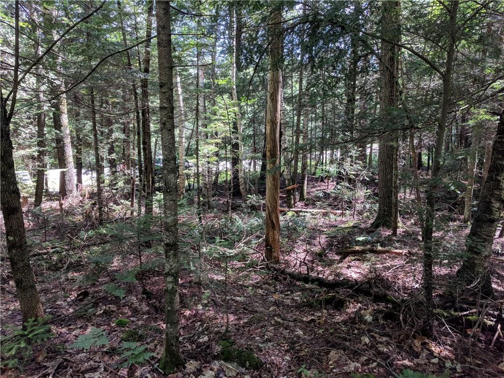 136 Gibbs Road Wiscasset, ME 04578 - Photo 13 of 17 Photo