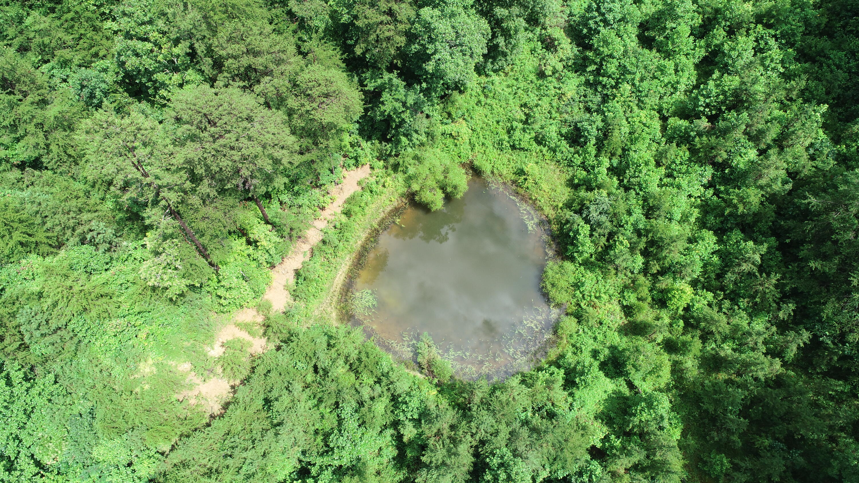 800 Pond Lick Road Annville, KY 40402 - Photo 29 of 46 DJI_0780