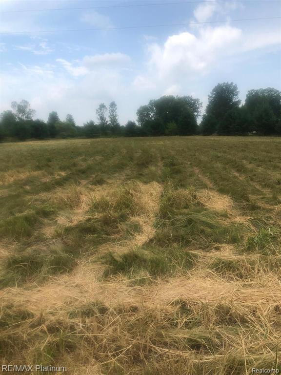 Vl Stow Road Webberville, MI 48892 - Photo 3 of 4