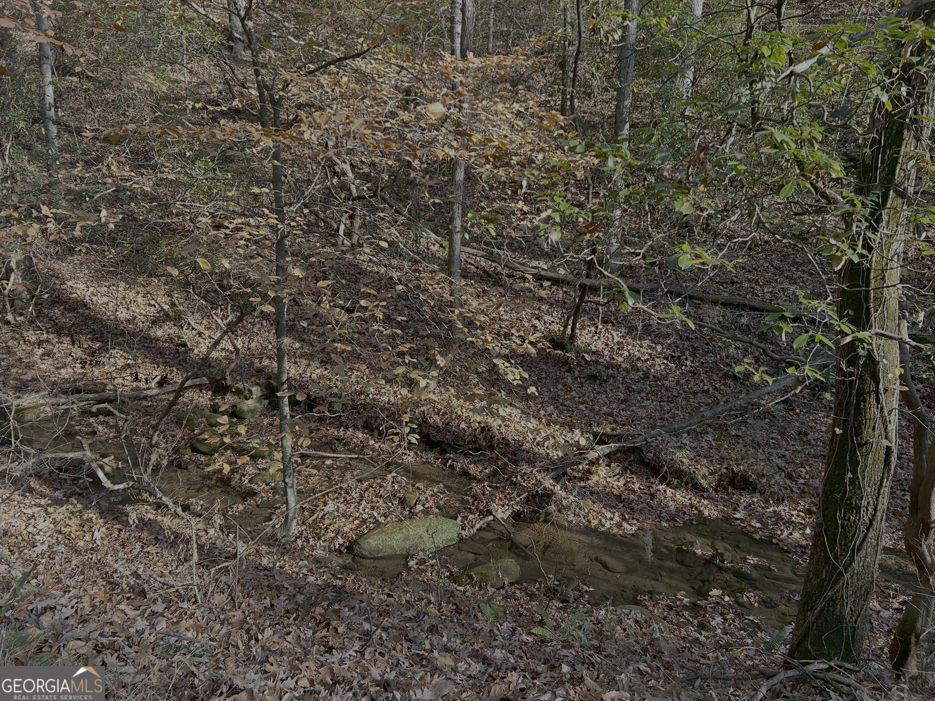 308 Rhododendron Lane Sautee Nacoochee, GA 30571 - Photo 2 of 3 a view of a tree