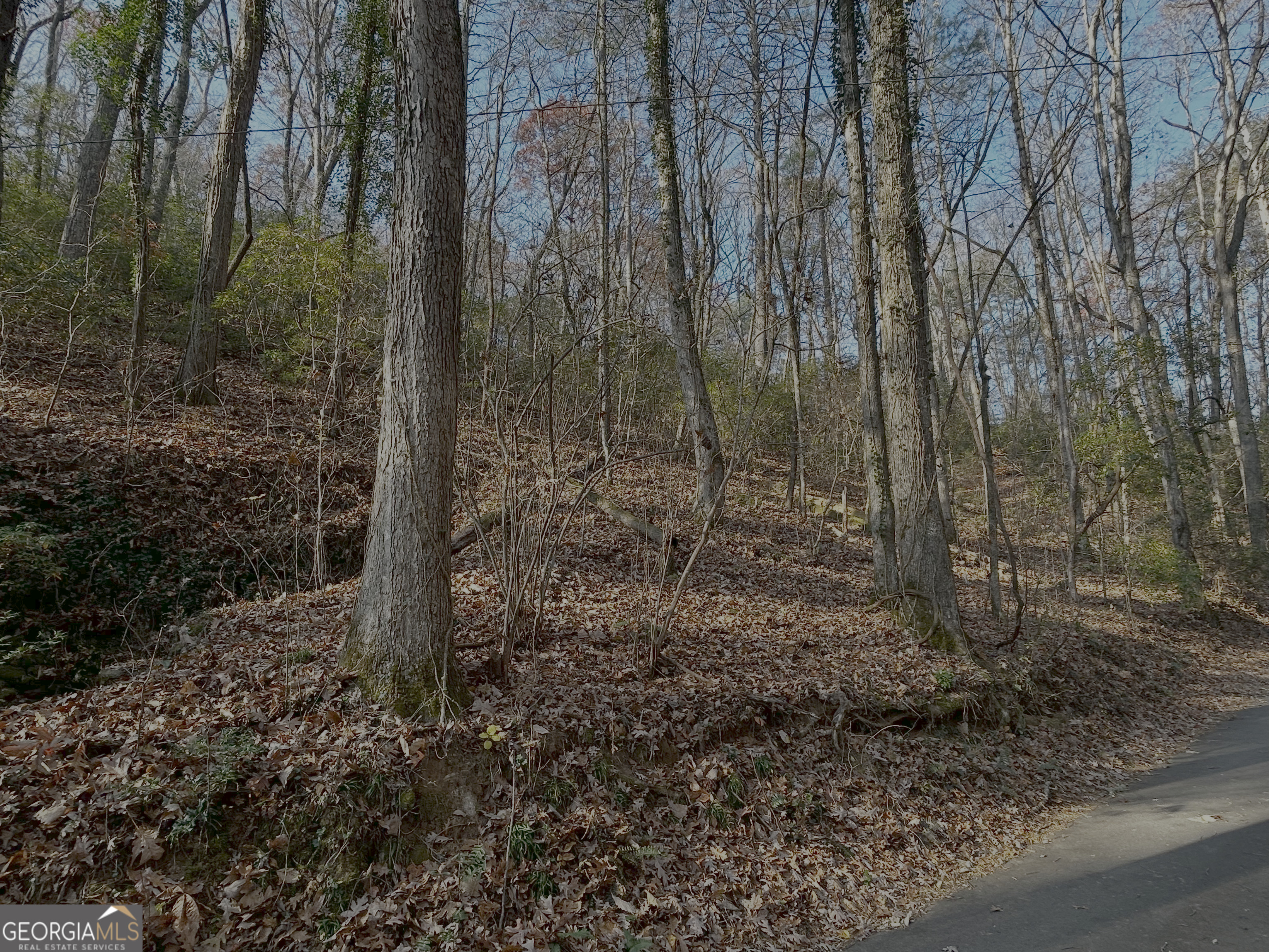 308 Rhododendron Lane Sautee Nacoochee, GA 30571 - Photo 3 of 3 a view of a forest with trees