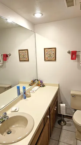 a bathroom with a sink a toilet and a mirror