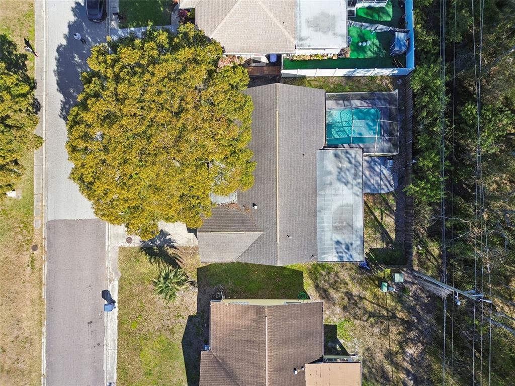 7518 Sequoia Drive New Port Richey, FL 34653 - Photo 24 of 26