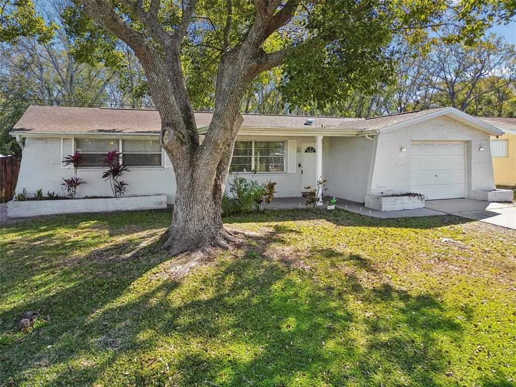 7518 Sequoia Drive New Port Richey, FL 34653 - Photo 3 of 26