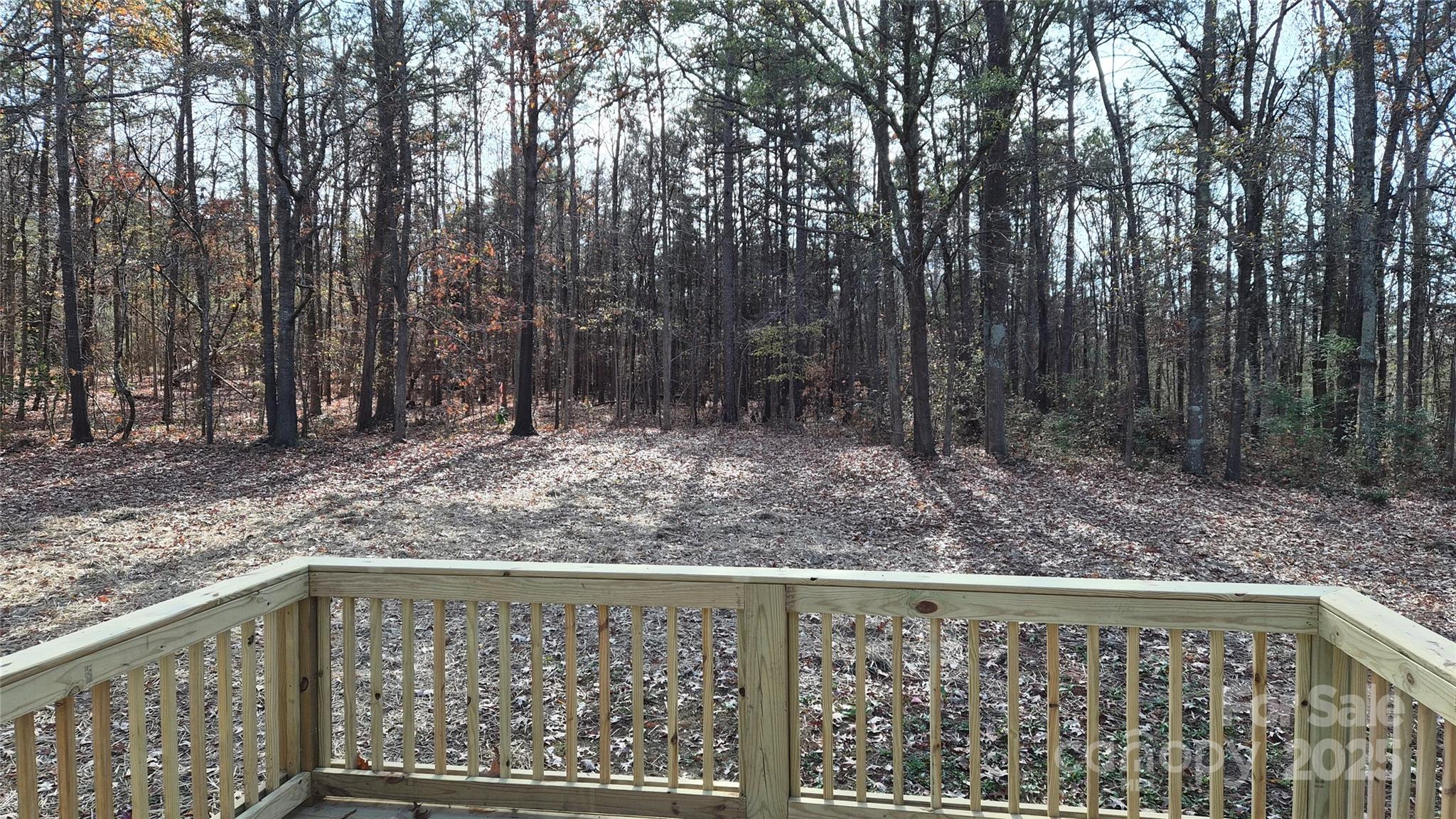 680 Tirzah Church Road Lancaster, SC 29720 - Photo 22 of 25 a view of a yard with trees